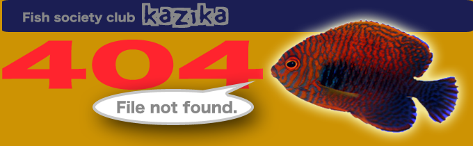 kazika 伊勢原店 404 File not found.